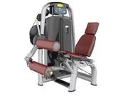 Seated Leg Curl