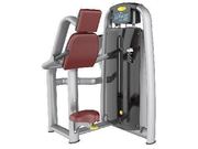 Triceps Dip
