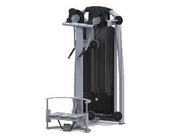 Standing Rear Delt