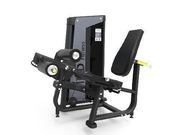 Seated Leg Curl