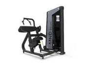 Triceps Extension