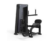 Abdominal/Back Extension