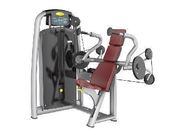 Triceps Extension