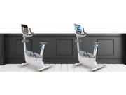 Commercial Upright Bike