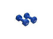 Small faceted dumbbell