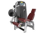Seated Leg Extension